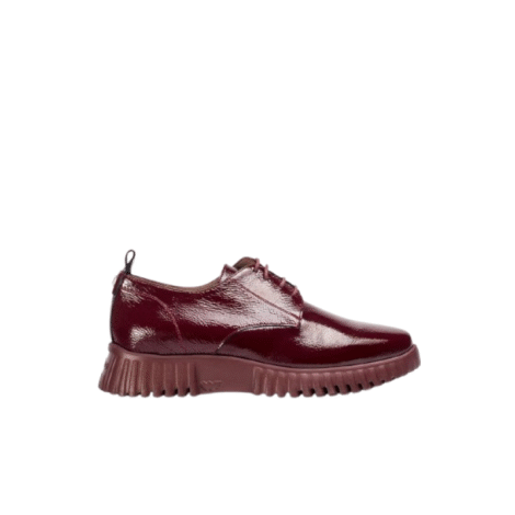 Zapato Cordones Wonders A-4401